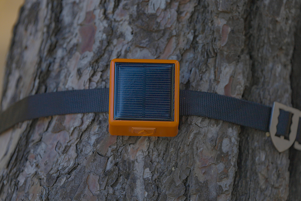James Dyson Award Forestguard 5