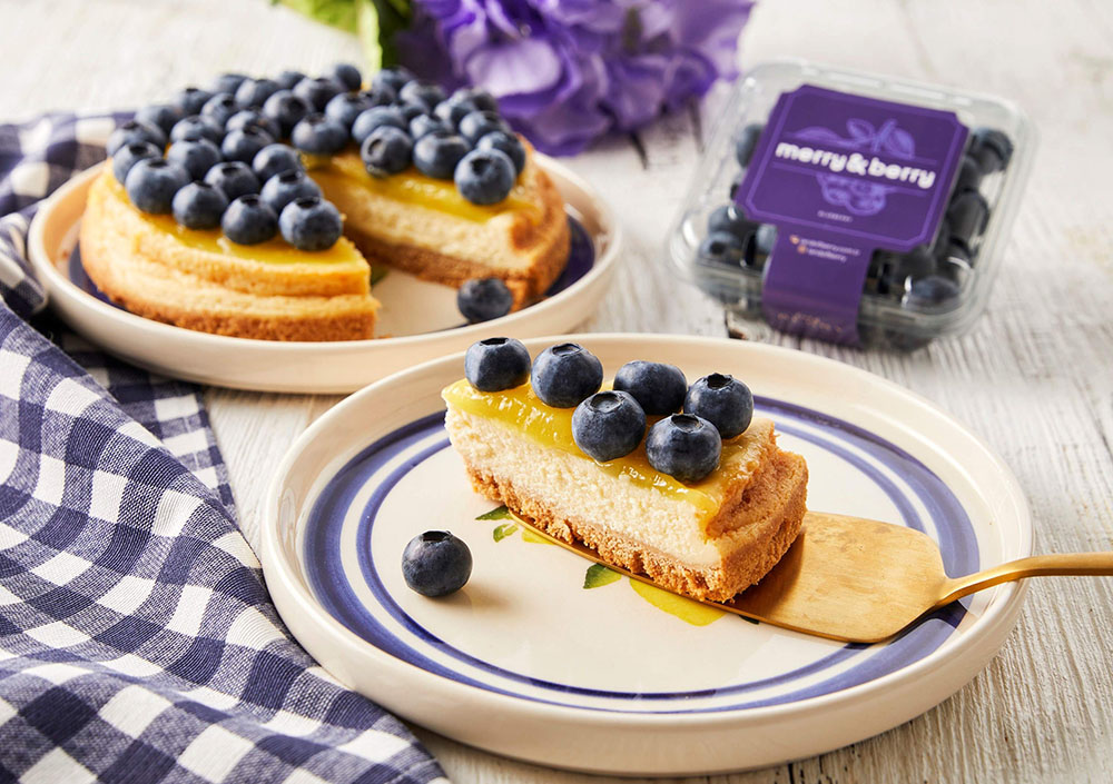 LandofBerry Blueberry Cheescake Gorsel2
